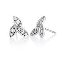 עגילי יהלום Acadia  עגילי יהלום Acadia