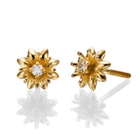 עגילי יהלום Bari עגילי יהלום Bari